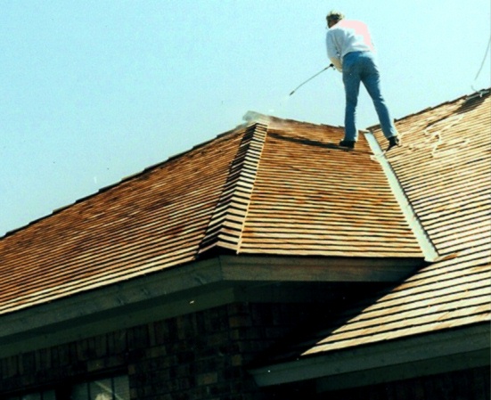 roof shingles